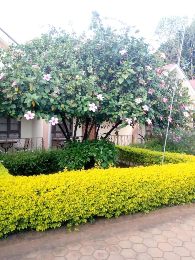 The Royal Pentagon Hotel Hoima Exterior photo
